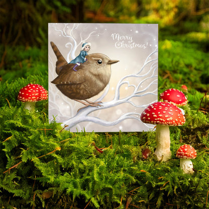 Fairy Wren - Xmas