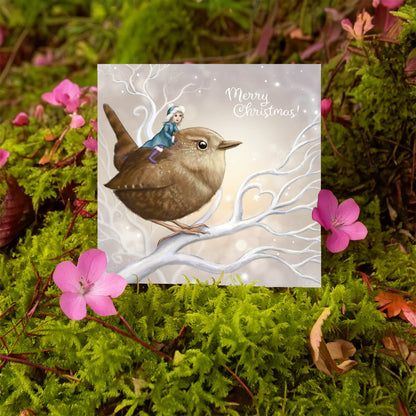 Fairy Wren - Xmas