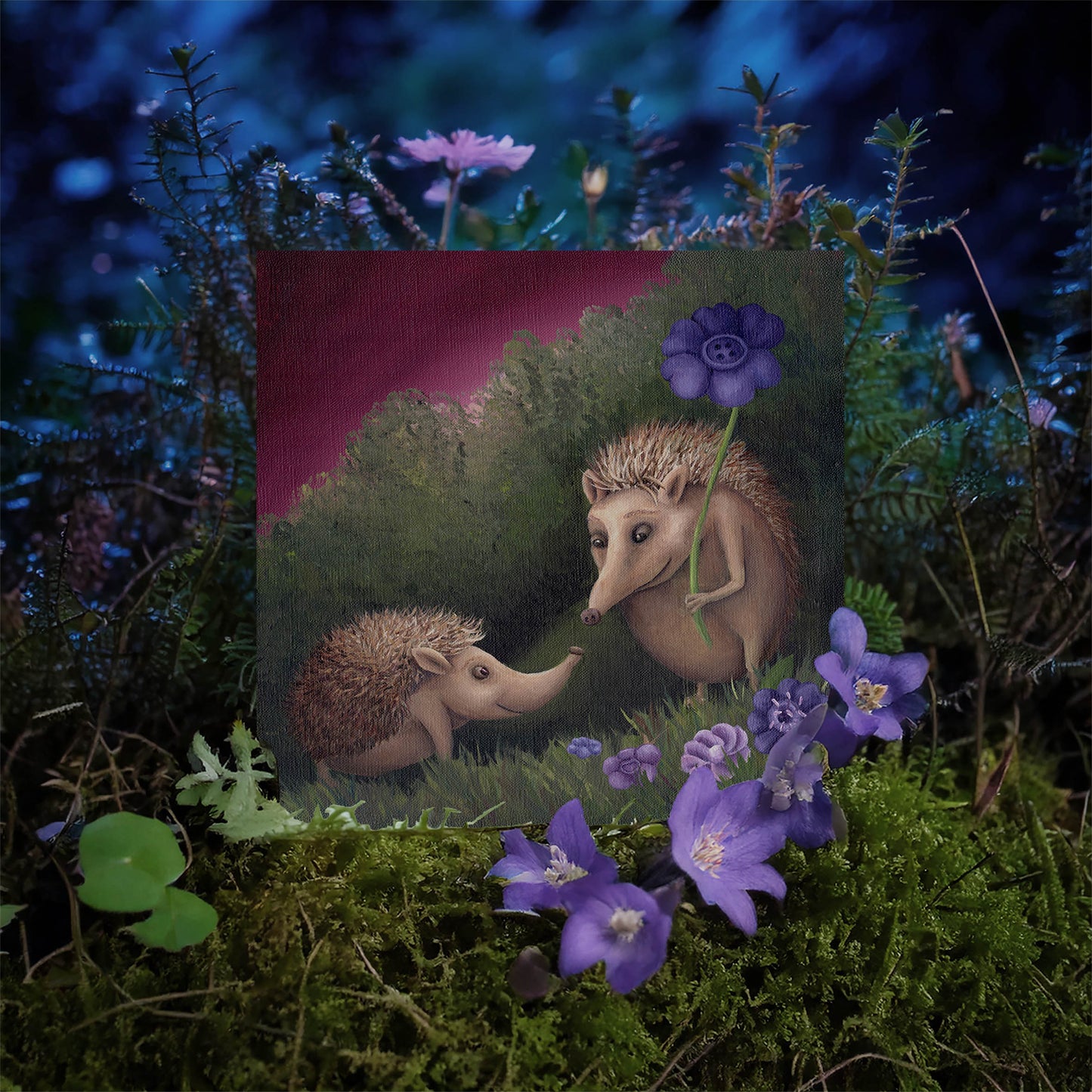 Hedgehogs