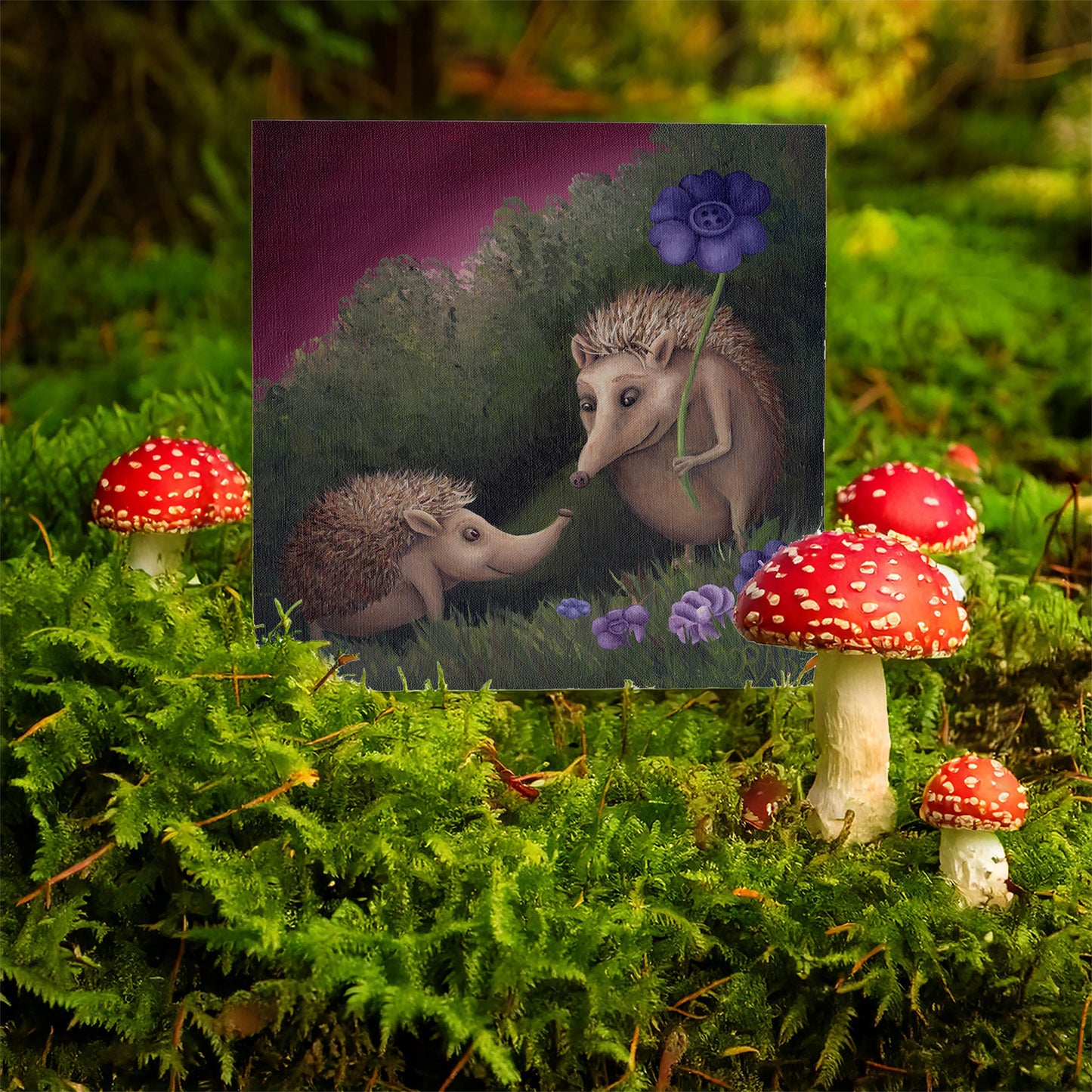 Hedgehogs