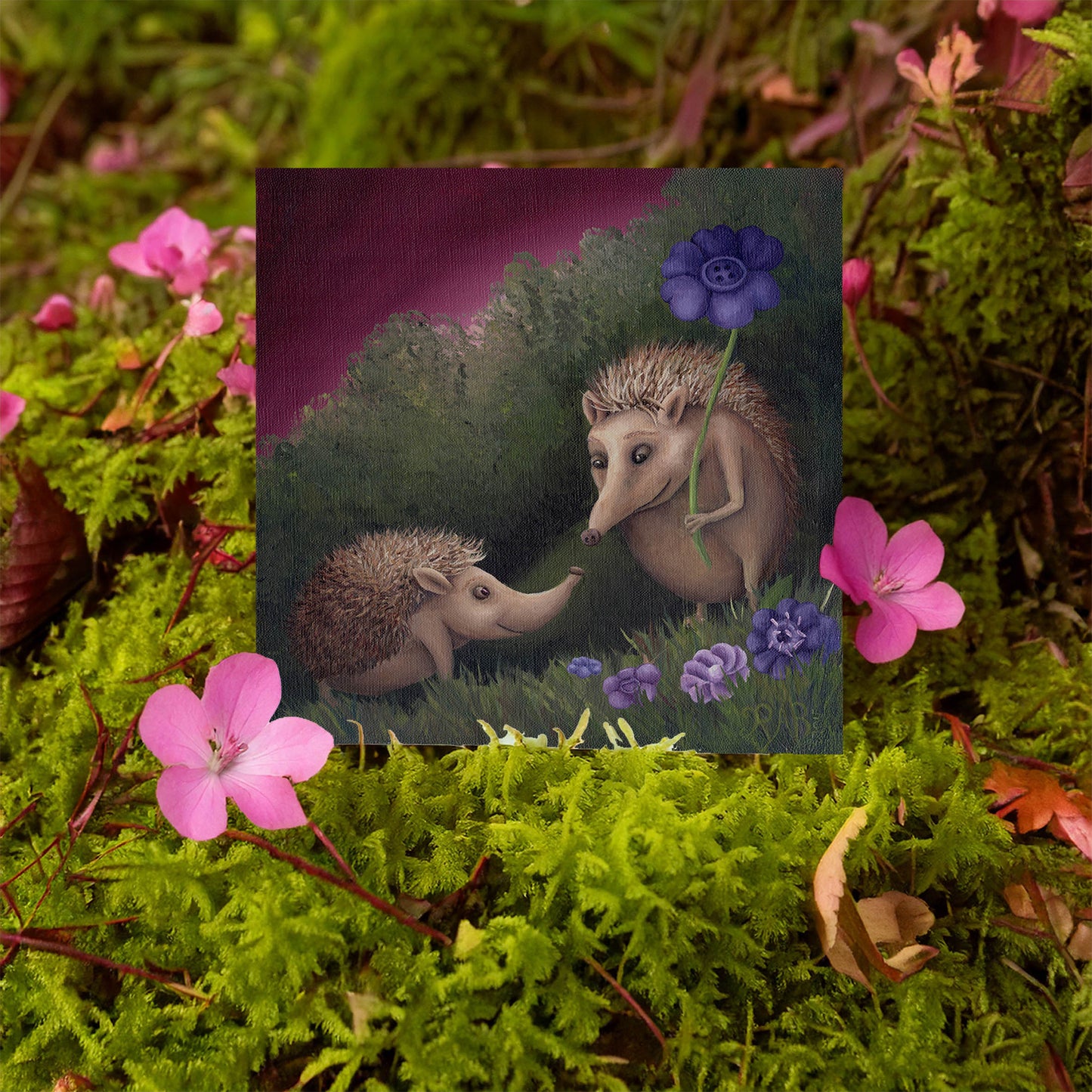 Hedgehogs