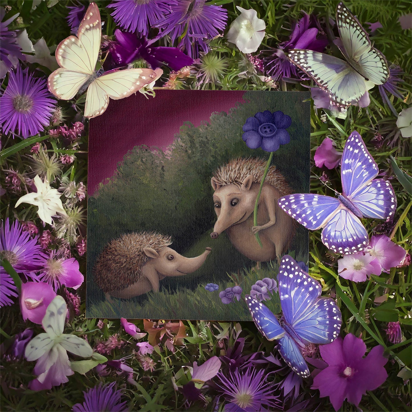 Hedgehogs