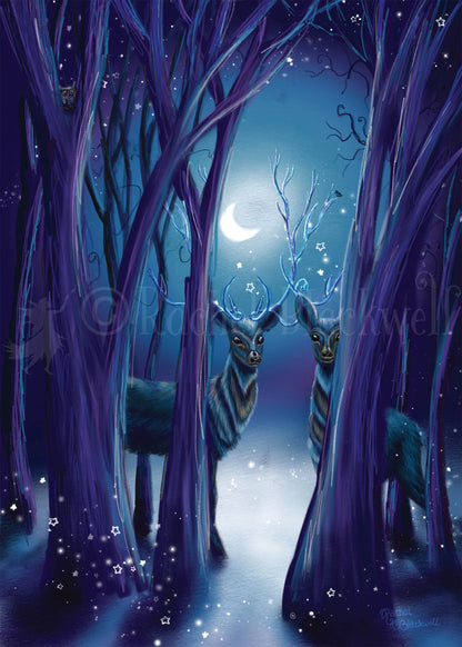 Looking Beyond -Giclee Print