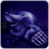 Magnetic Art - Mole