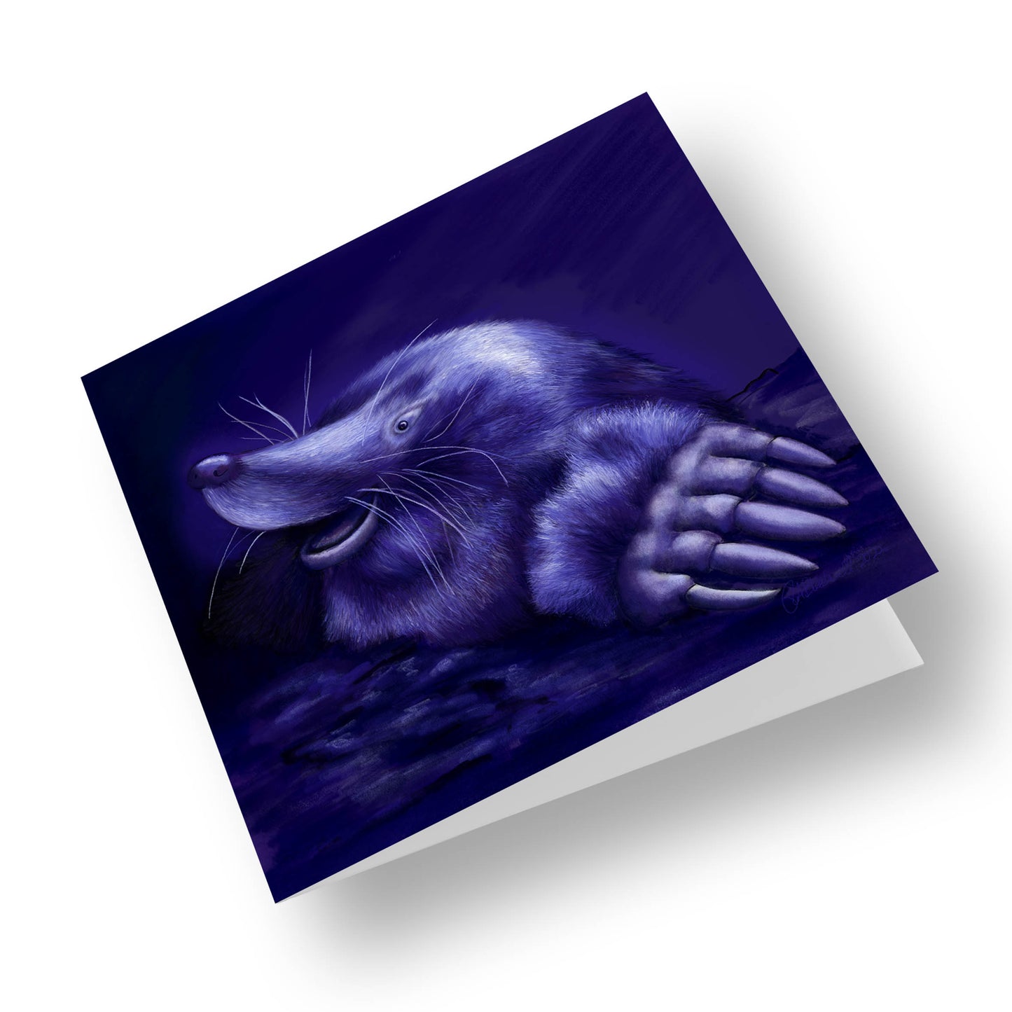 Mole