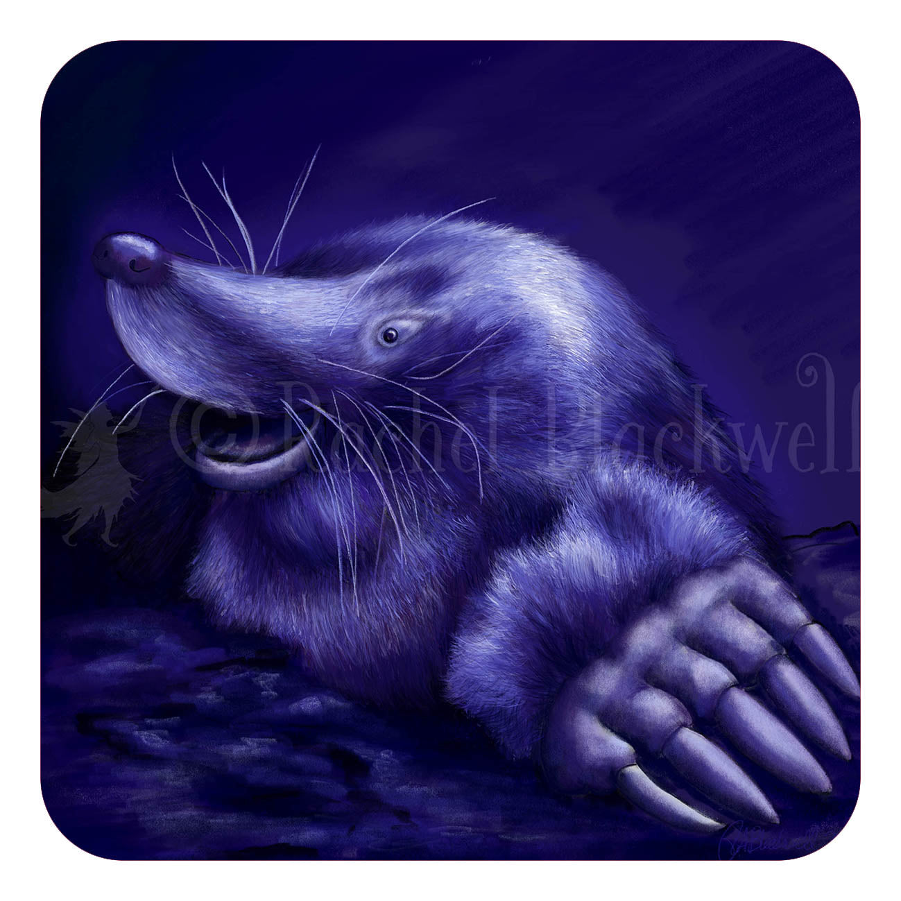 Mole - Unsigned Giclee Mount