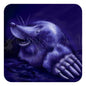 Coasters - Mole