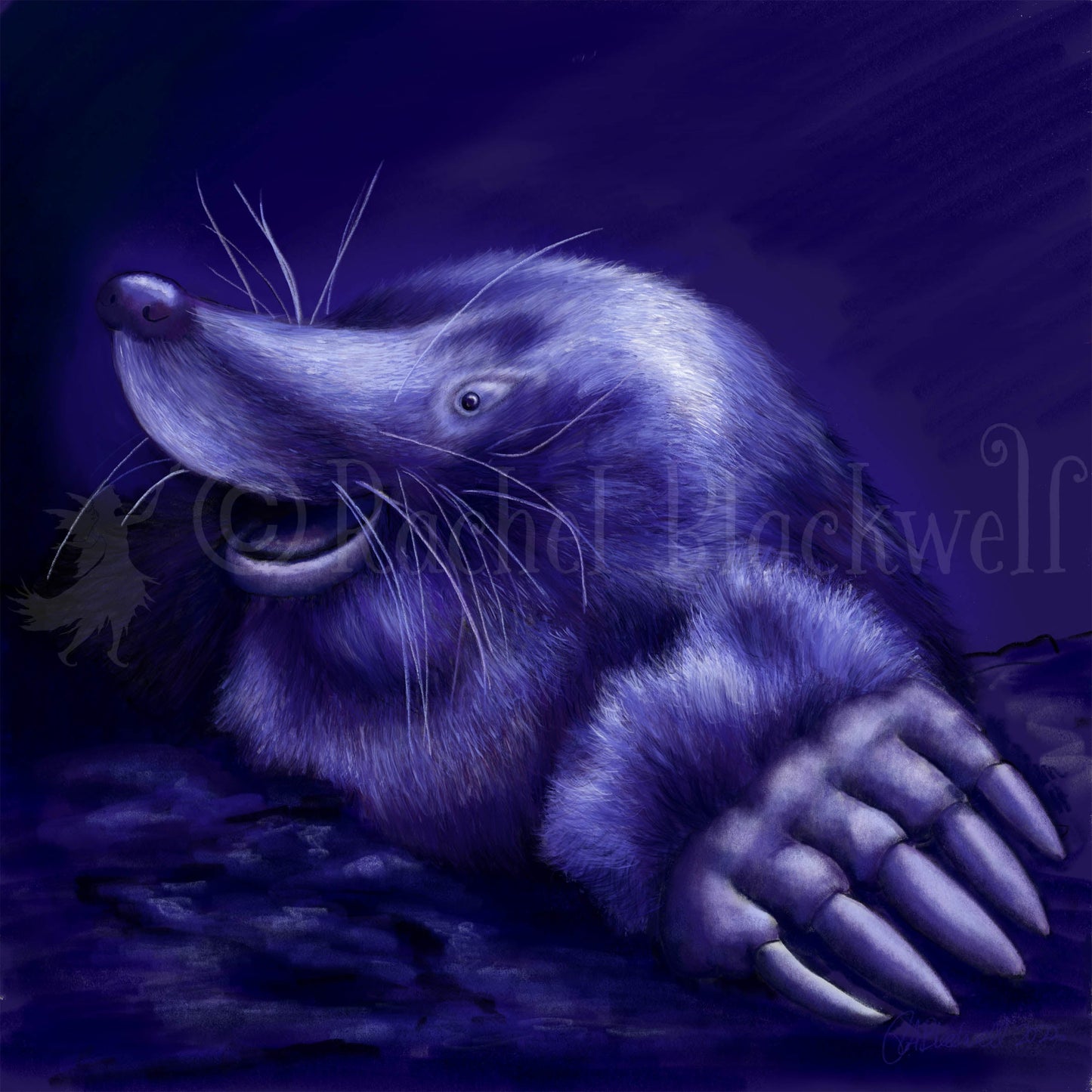 Mole -Small Giclee