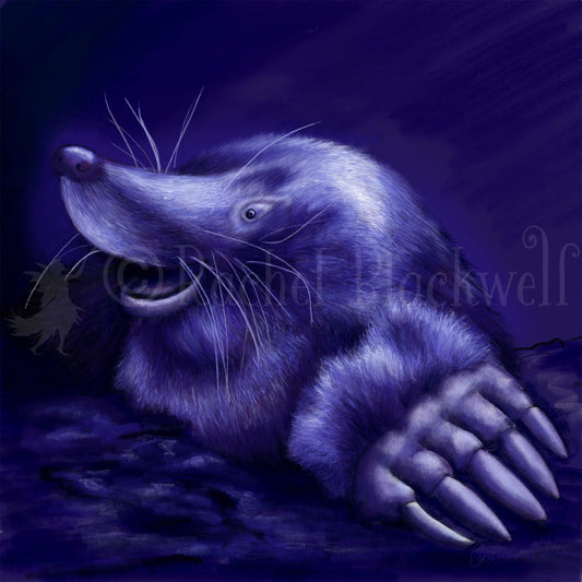 Mole -Small Giclee
