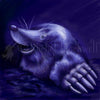 Mole -Small Giclee