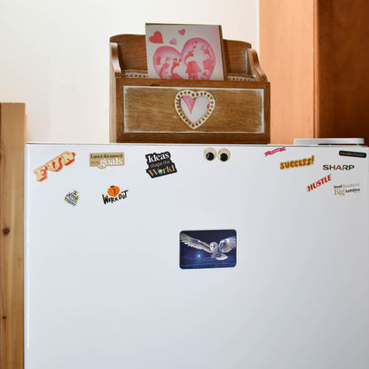 Magnetic Art - Moon Rose