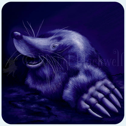 Magnetic Art - Moonlight Whispers