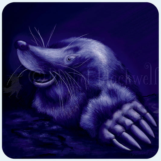 Magnetic Art - Moonlight Whispers