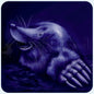 Magnetic Art - Moonlight Whispers