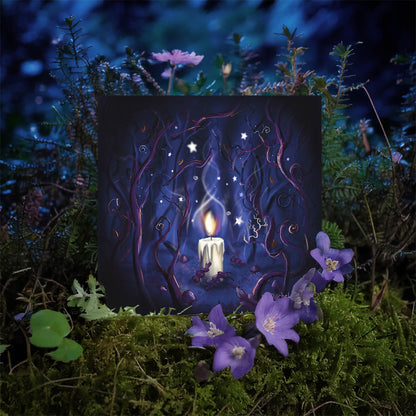 Shine a Light