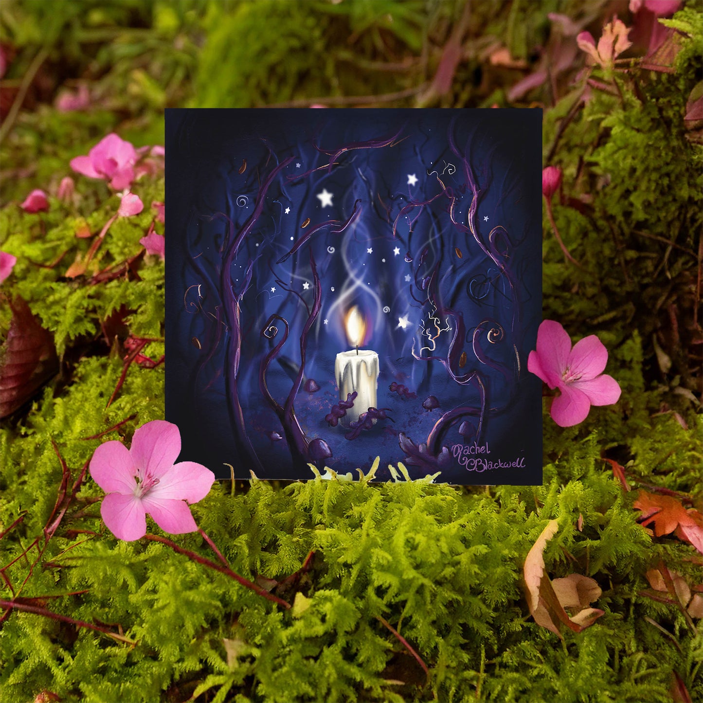 Shine a Light