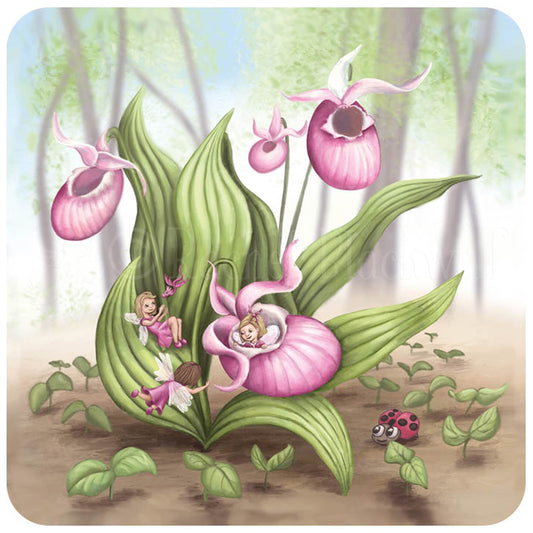 Magnetic Art - Slipper Orchid Fairies