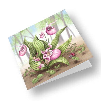 Slipper Orchid Fairies