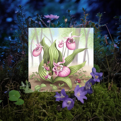 Slipper Orchid Fairies