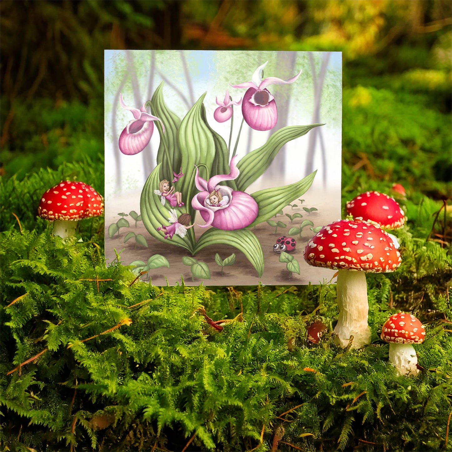 Slipper Orchid Fairies