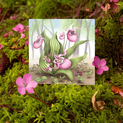 Slipper Orchid Fairies