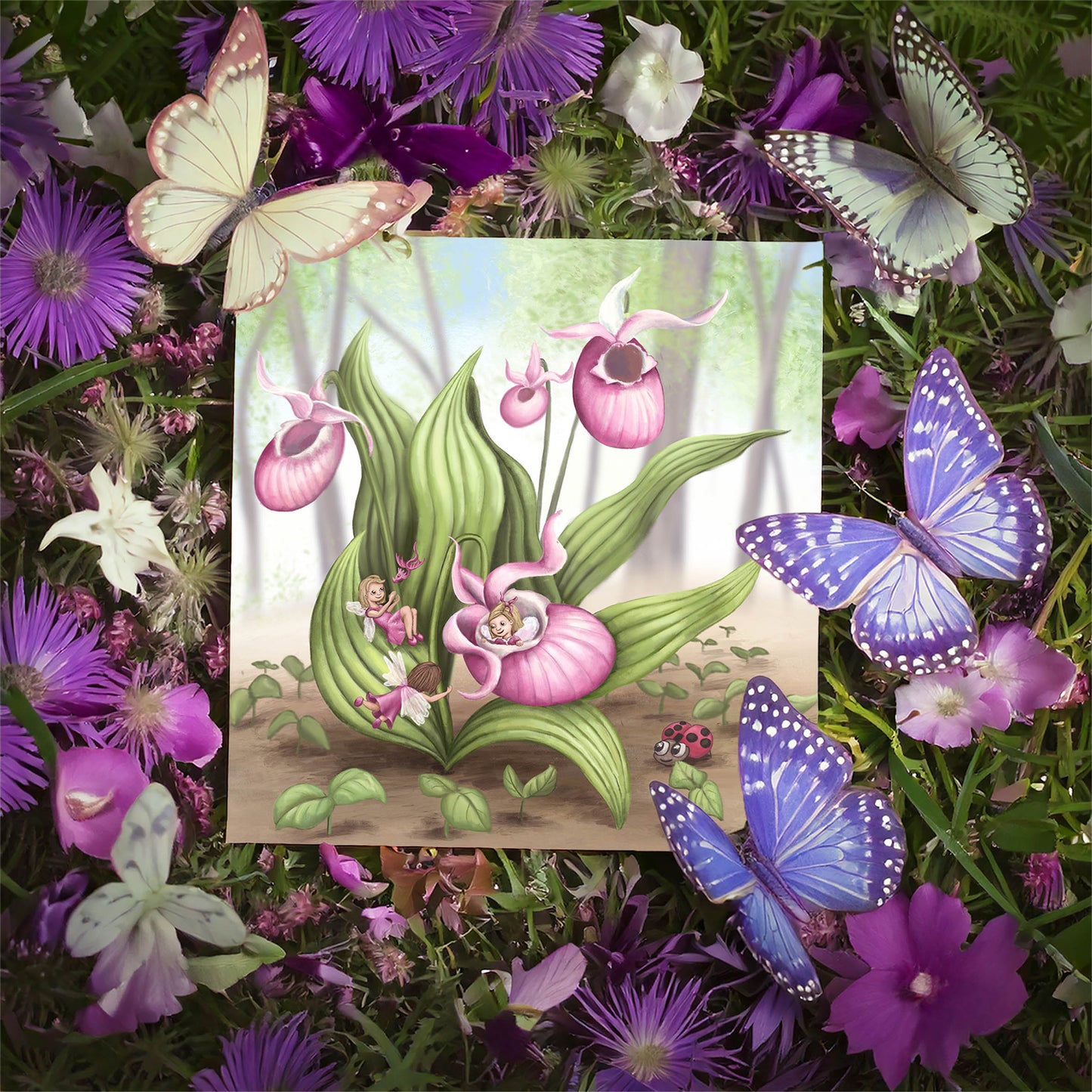 Slipper Orchid Fairies