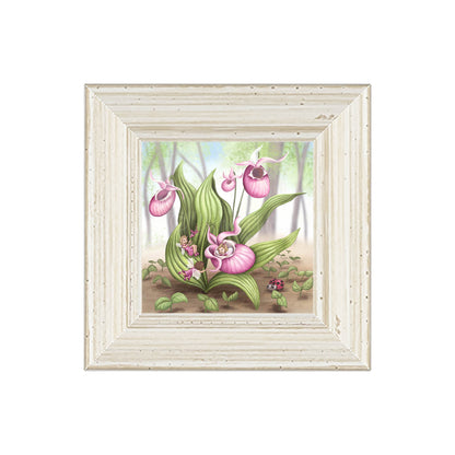 Slipper Orchid Fairies -Small Giclee