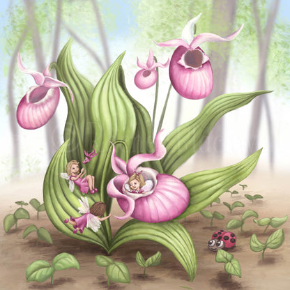 Slipper Orchid Fairies -Small Giclee