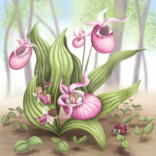 Slipper Orchid Fairies -Small Giclee