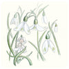 Magnetic Art - Snowdrop Fairy