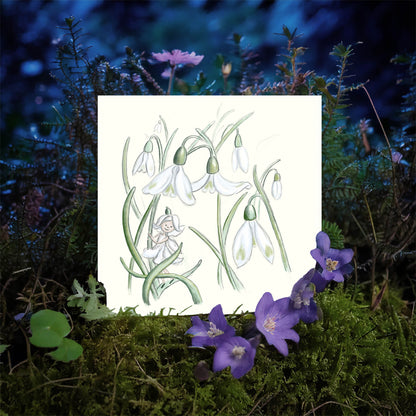 Snowdrop Fairy