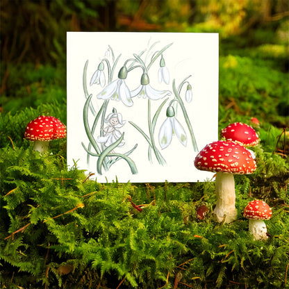 Snowdrop Fairy