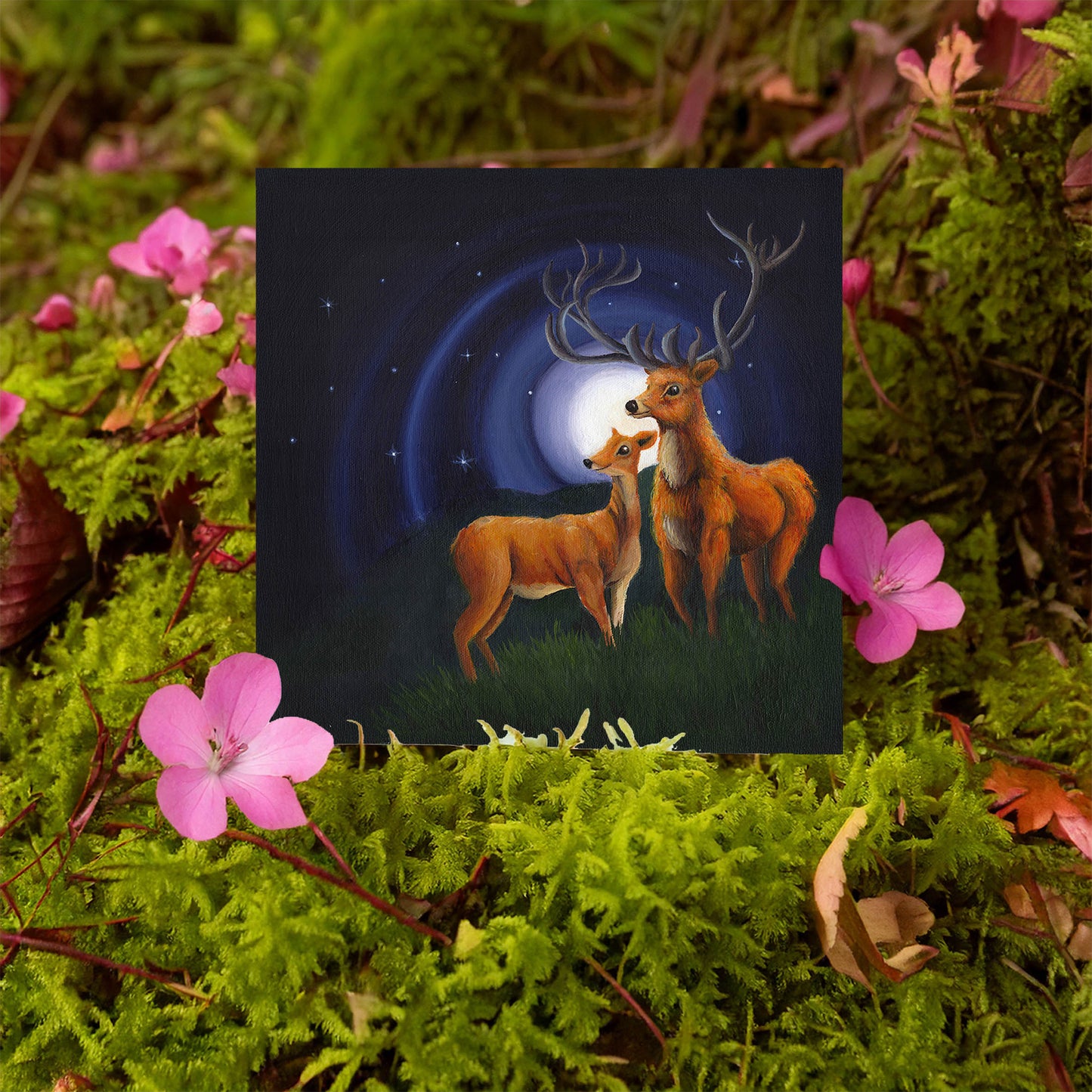 Stag and Doe