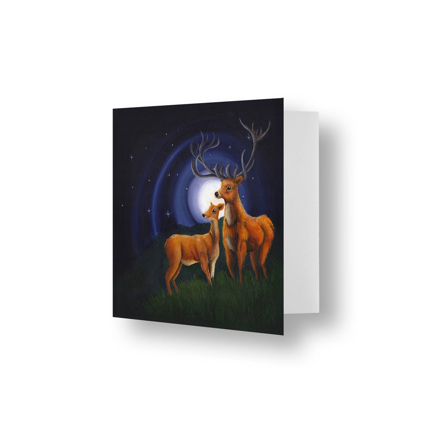 Stag and Doe