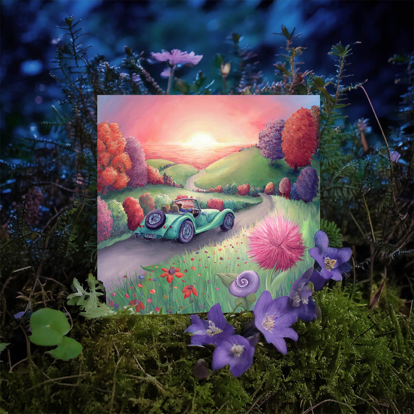 Sunset Drive