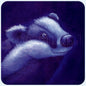 Magnetic Art - The Badger