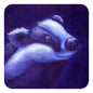 Coasters - The Badger