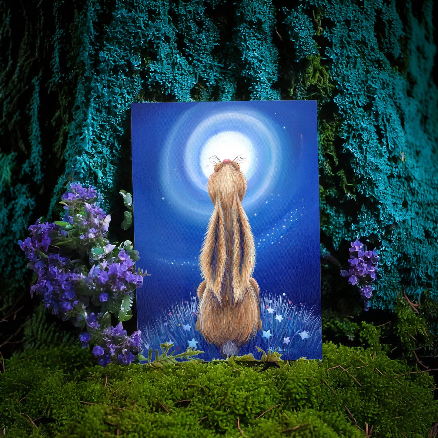 The Dreamer
