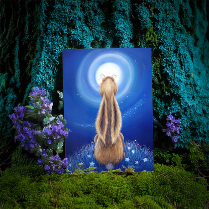 The Dreamer