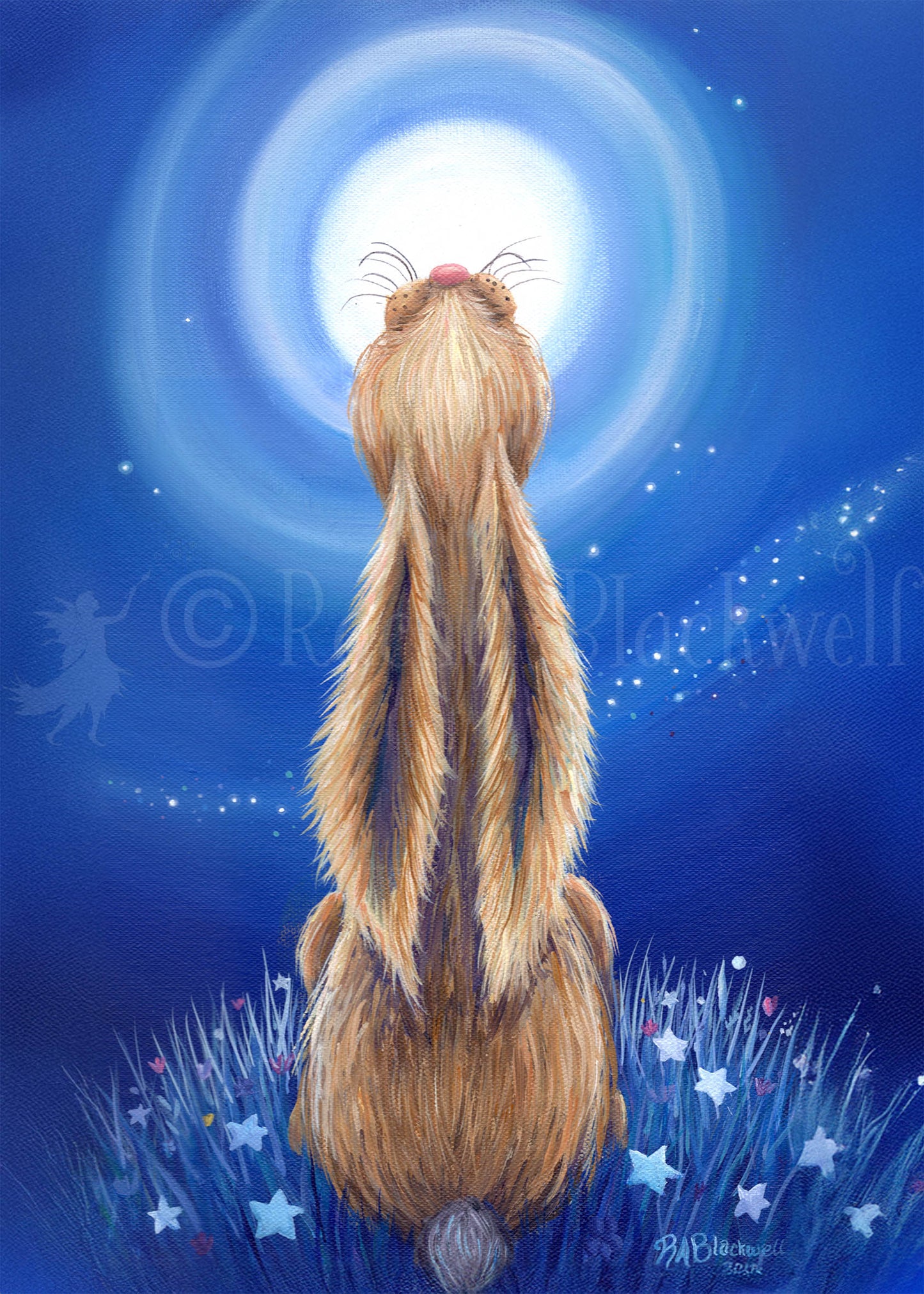 The Dreamer
