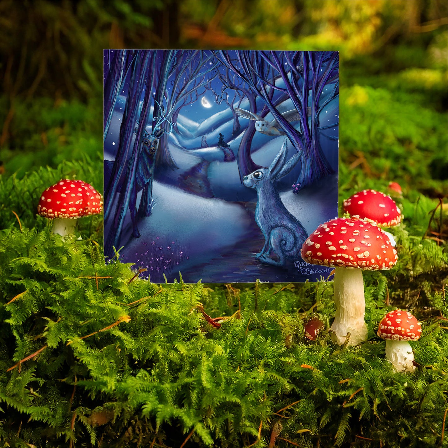 The Dreaming Path