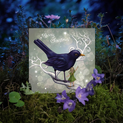 The Fairy and the Blackbird - Xmas