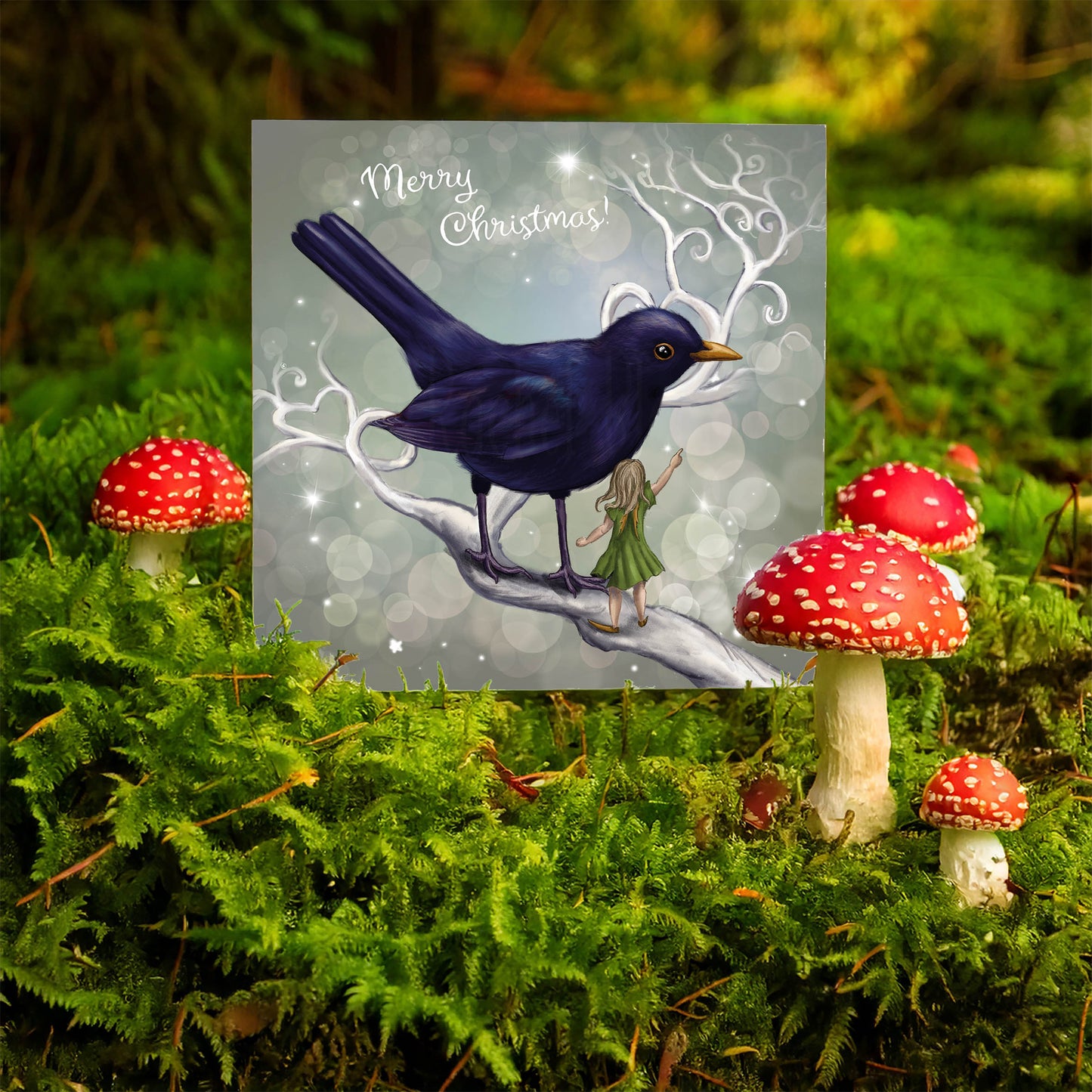 The Fairy and the Blackbird - Xmas
