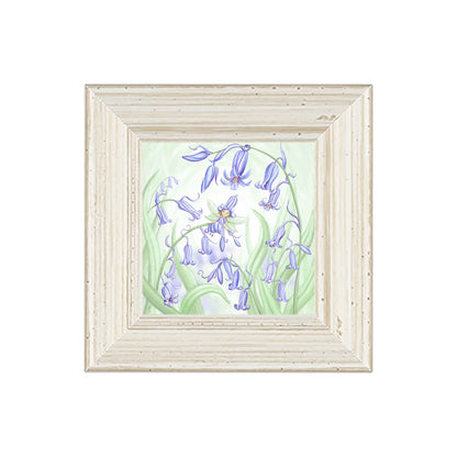 The Fairy of the Bluebells -Small Giclee