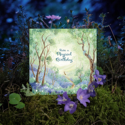 The Hare's Path - Birthday