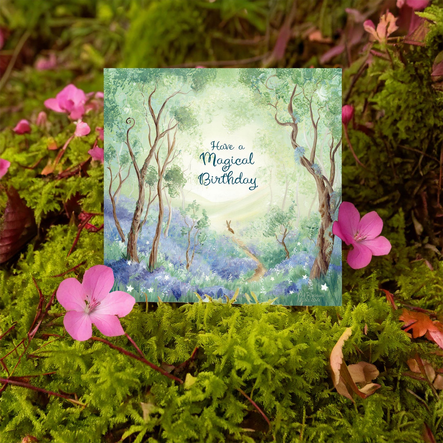 The Hare's Path - Birthday