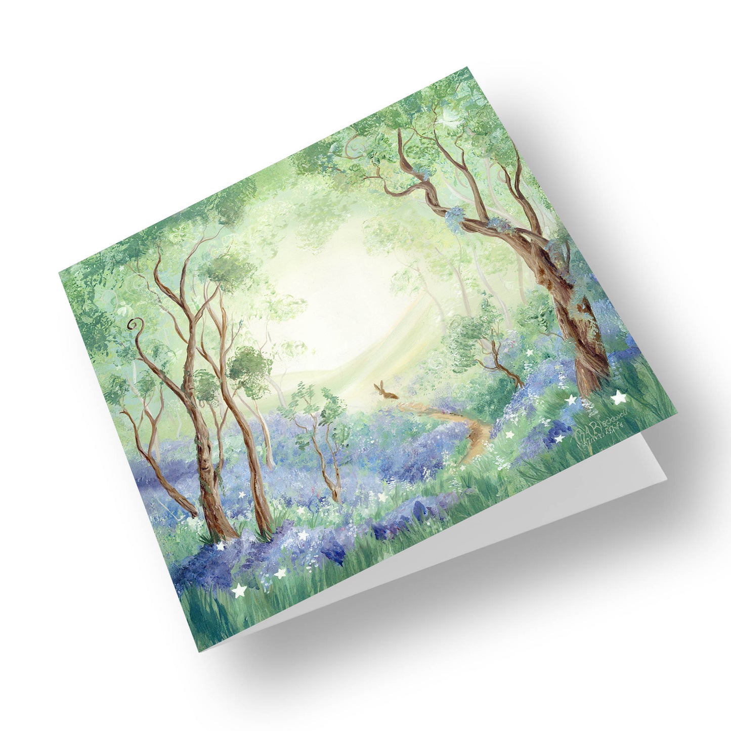 The Hare's Path