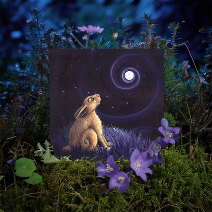 The Moon Gazer