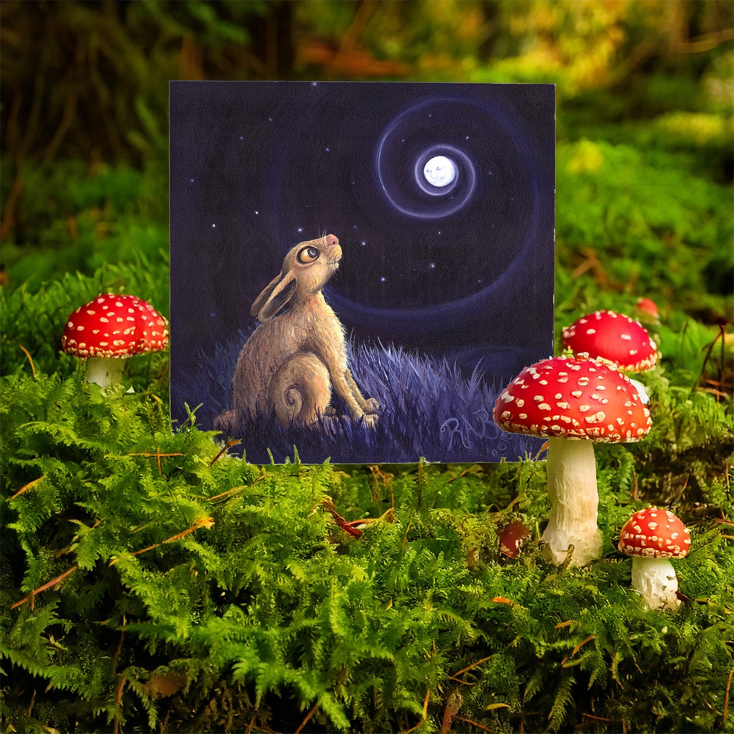 The Moon Gazer