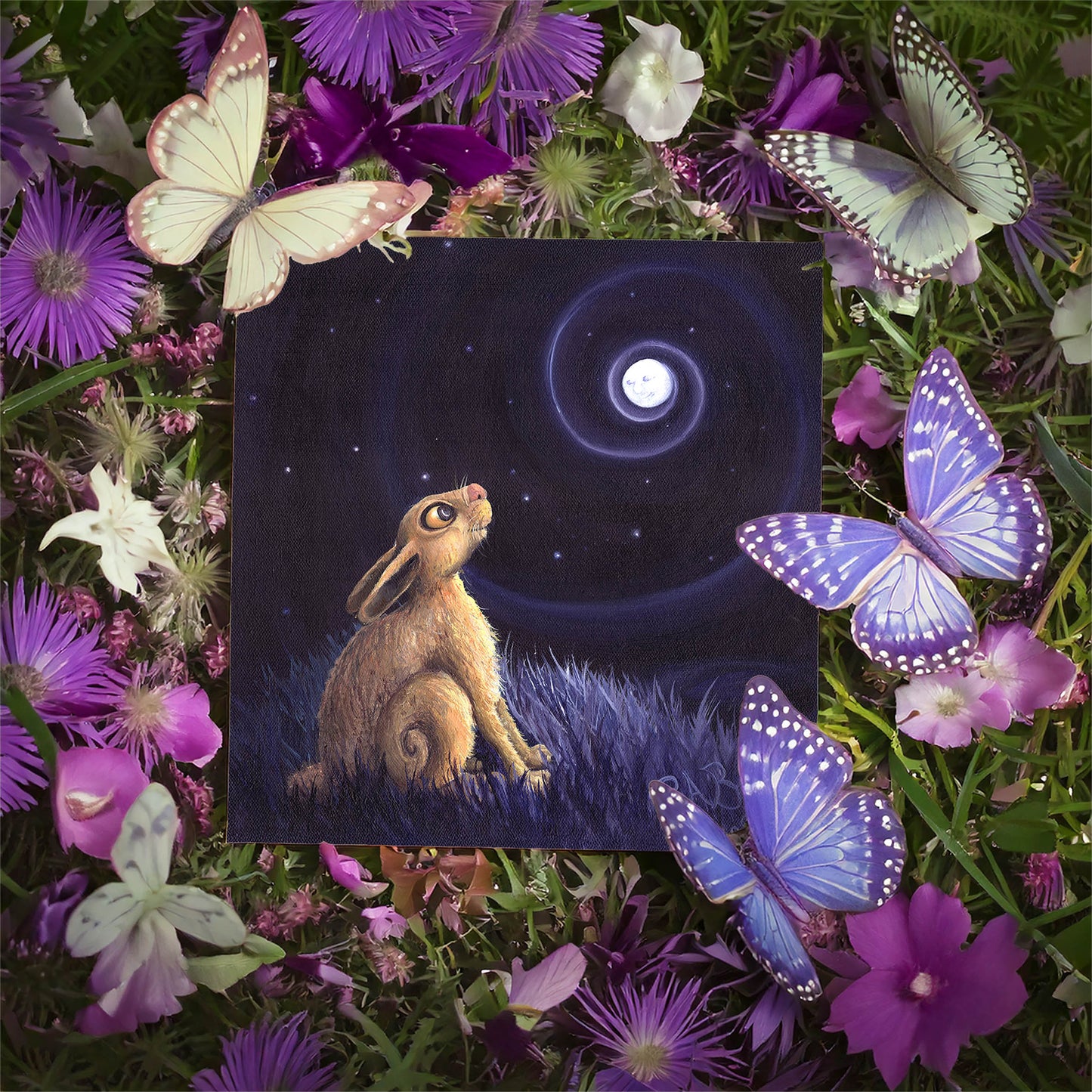 The Moon Gazer